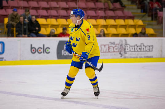 Sweden defenceman Rasmus Sandin (8)