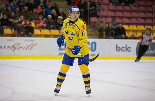 Sweden defenceman Rasmus Sandin (8)