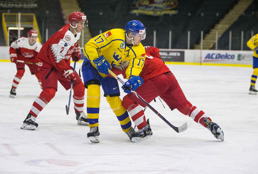 Denmark defenceman Victor Andersen checks Sweden forward