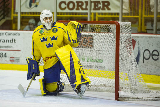 Sweden goalie Olle Eriksson Ek (35)  in action  against
