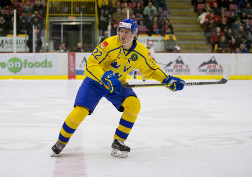 Sweden forward Isac Lundeström (22) in action