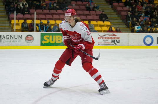 Denmark defenceman Malte Setkov (3)
