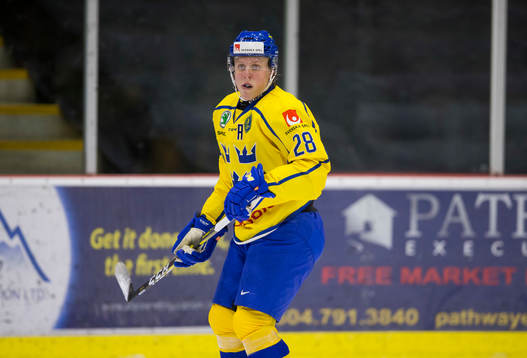 Sweden forward Fabian Zetterlund (28)