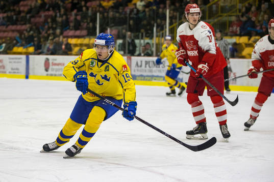Sweden forward Filip Hållander (19)