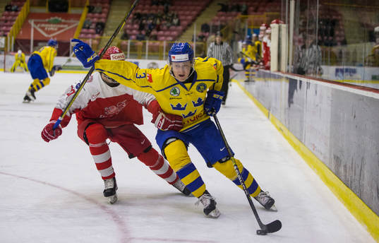 Denmark forward Jonathan Andersen (10) checks Sweden