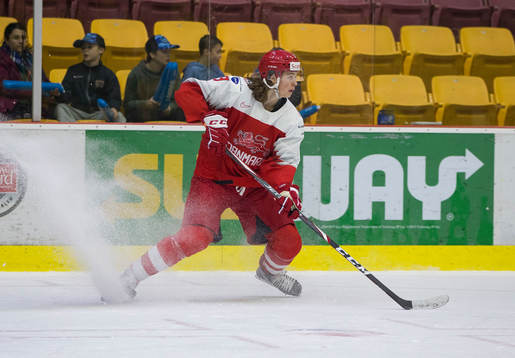 Denmark defenceman Malte Setkov (3)