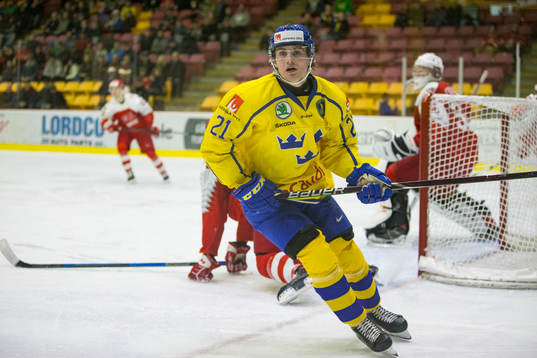 Sweden forward Nils Höglander (21)