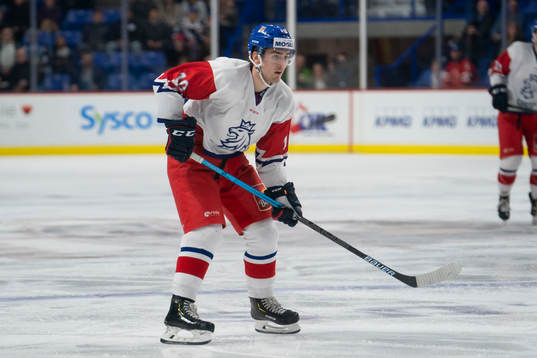 Filip Zadina #19 of the Czech Republic