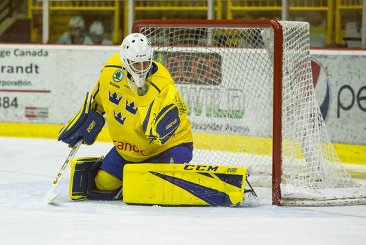 Sweden goalie Olle Eriksson Ek (35)  in action  against