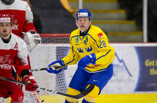 Sweden forward Fabian Zetterlund (28)