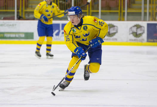 Sweden defenceman Filip Westerlund (16)
