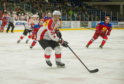 Switzerland defenceman David Aebischer (26)