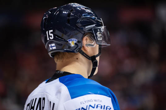 The Finnish lion logo