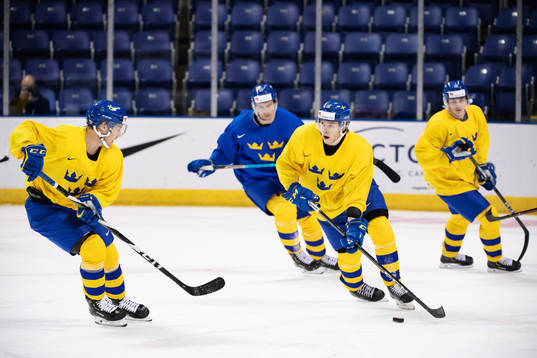 Rasmus Sandin and Rickard Hugg