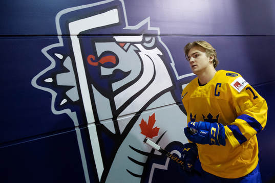 Erik Brännström