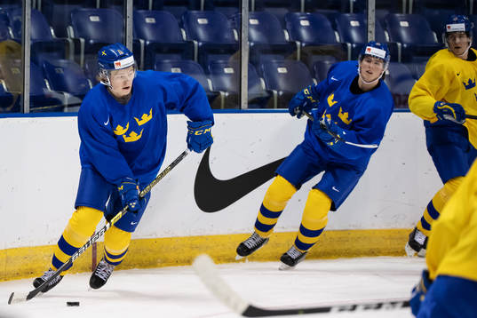 Filip Westerlund