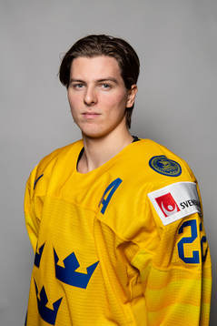 Bläddra bland fler bilder av 2019 IIHF World Junior Championship, day -1, Sweden, portrait