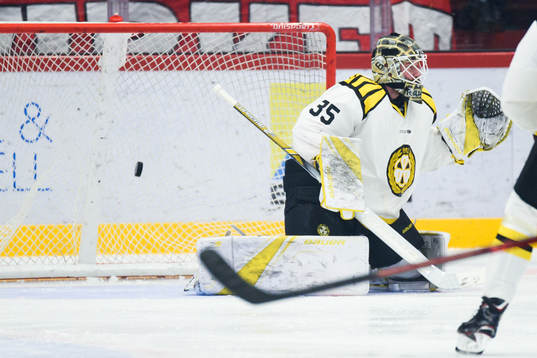 Timrås Anton Wedin (ej i bild) gör 1-0 bakom Brynäs