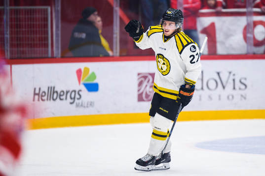 Brynäs Emil Forslund jublar