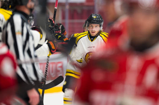 Brynäs Emil Forslund jublar