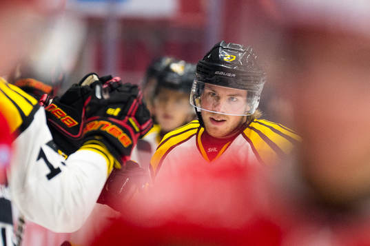Brynäs Emil Forslund jublar