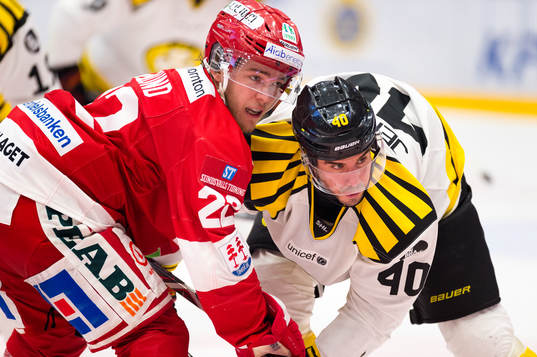 Timrås Emil Berglund och Brynäs Jesper Jensen