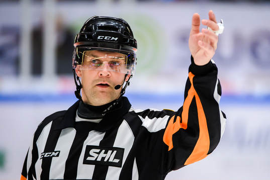 Domare Mikael Nord
