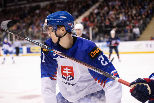 Adam Ruzicka of Slovakia