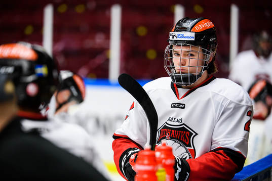 Malmö Redhawks Helge Grans