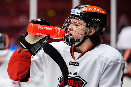 Malmö Redhawks Helge Grans