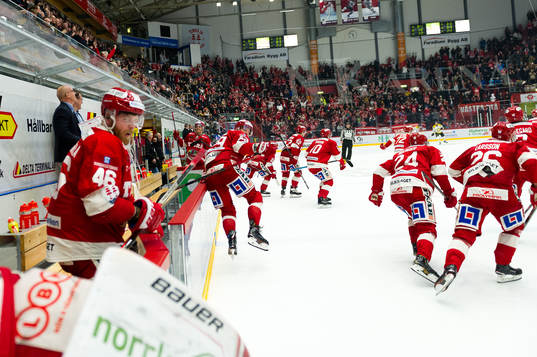 Timrås spelare jublar