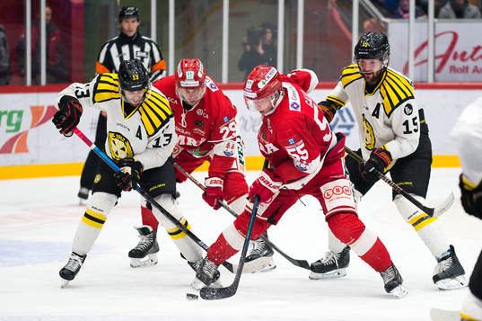 Brynäs Ryan Gunderson och Timrås Vilmos Gallo
