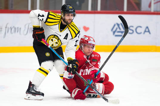 Brynäs Ryan Gunderson och Timrås Vilmos Gallo