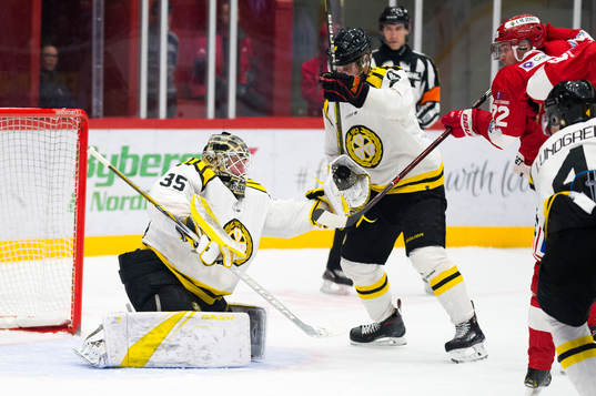 Brynäs målvakt David Rautio och Timrås Sebastian Ohlsson
