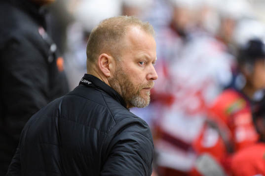 Hanhals tränare Niclas Högberg