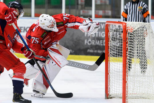 Hanhals målvakt Arvid Söderblom räddar en puck