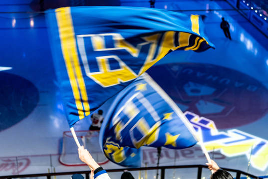 HV71 flaggor