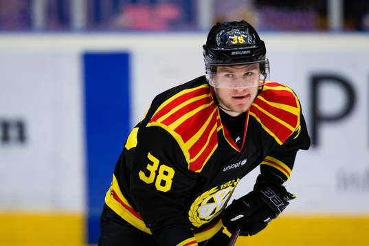 Brynäs Adrian Elefalk