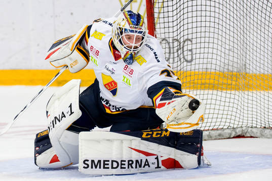 Djurgårdens målvakt Adam Reideborn