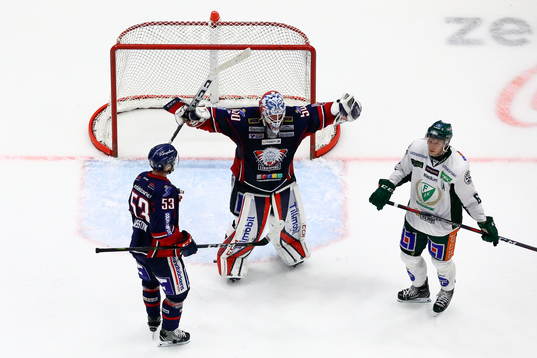 Linköpings målvakt Jonas Gustavsson jublar