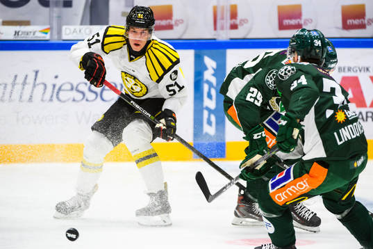 Brynäs Tomi Sallinen