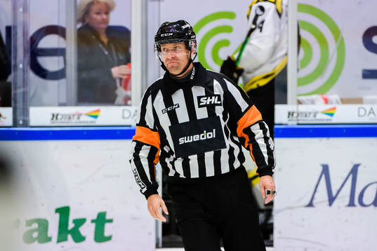 Domare Sören Persson