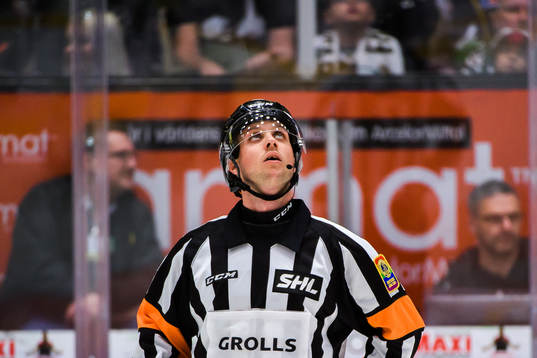 Domare Patric Bjälkander