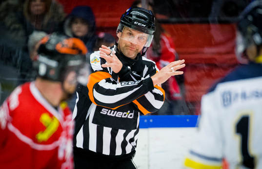 Domare Mikael Nord