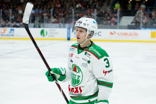 Rögles Daniel Bertov