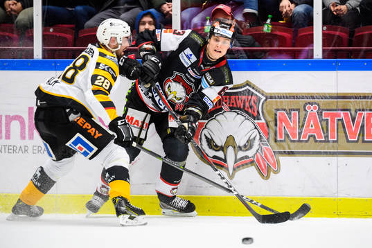 Malmö Redhawks Fredrik Händemark och Skellefteås Johan