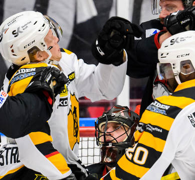 Malmö Redhawks målvakt Oscar Alsenfelt tittar på ett