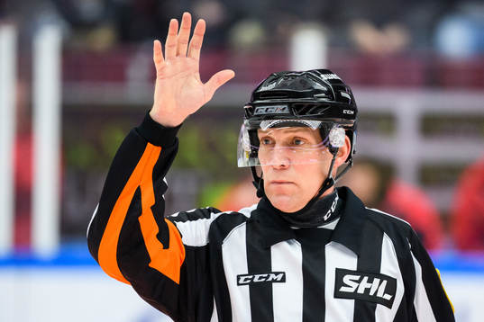 Domare Morgan Johansson