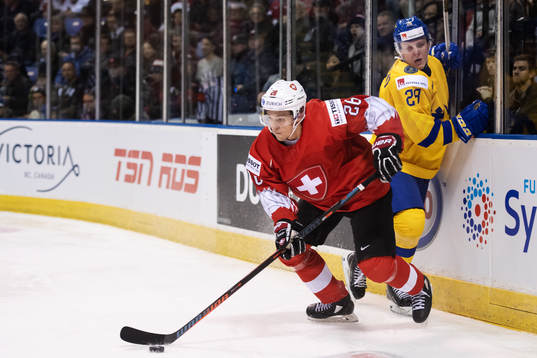 David Aebischer of Switzerland and Fabian Zetterlund of
