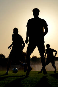 Silhouettes of Swedish players